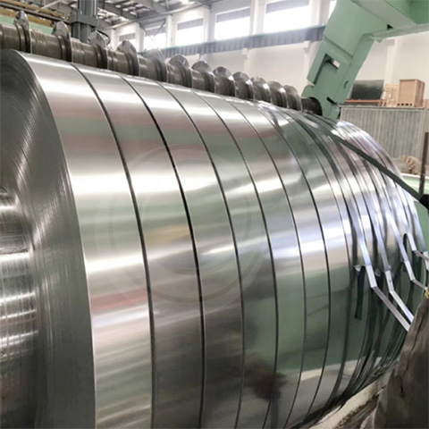 Stainless Steel Strip